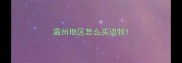 温州地区怎么买边牧