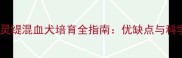 拉布拉多与灵缇混血犬培育全指南优缺点与科学饲养要点