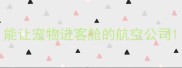 能让宠物进客舱的航空公司