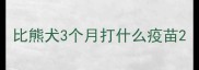 比熊犬3个月打什么疫苗