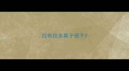 拉布拉多鼻子很干