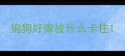 狗狗好像被什么卡住