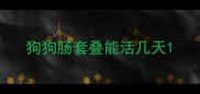 狗狗肠套叠能活几天