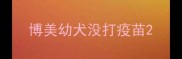 博美幼犬没打疫苗