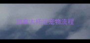 加拿大托运宠物流程