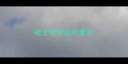 哈士奇可以吃麦片
