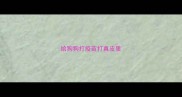 给狗狗打疫苗打真皮里