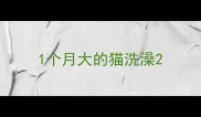 1个月大的猫洗澡