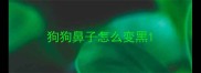 狗狗鼻子怎么变黑