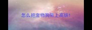 怎么把宠物狗带上高铁
