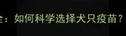 法国进口幼犬疫苗品牌全如何科学选择犬只疫苗附接种指南与避坑建议