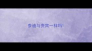 泰迪与贵宾一样吗
