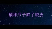 猫咪爪子肿了脱皮