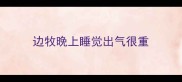 边牧晚上睡觉出气很重