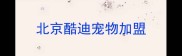 北京酷迪宠物加盟