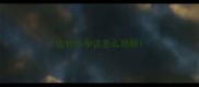 边牧怀孕该怎么照顾