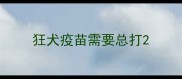 狂犬疫苗需要总打