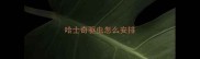 哈士奇驱虫怎么安排