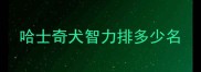 哈士奇犬智力排多少名