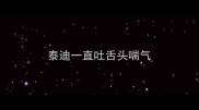 泰迪一直吐舌头喘气