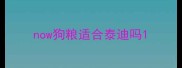 now狗粮适合泰迪吗