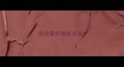 柴犬要打哪些疫苗