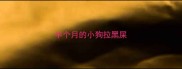 半个月的小狗拉黑屎