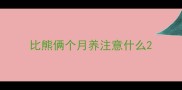 比熊俩个月养注意什么