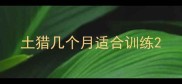 土猎几个月适合训练