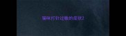 猫咪打针过敏的症状