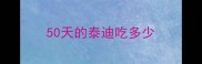 50天的泰迪吃多少