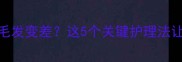 狗狗打完疫苗后毛发变差这5个关键护理法让毛孩秒变毛茸茸