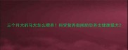 三个月大的马犬怎么喂养科学营养指南助您养出健康猛犬