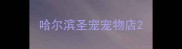 哈尔滨圣宠宠物店