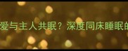 科学拉布拉多犬为何偏爱与主人共眠深度同床睡眠的利弊及专业训练方案