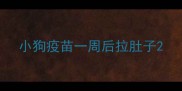 小狗疫苗一周后拉肚子
