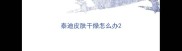 泰迪皮肤干燥怎么办