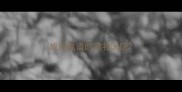威海靠谱的宠物医院