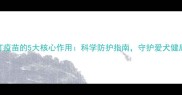 狗打疫苗的5大核心作用科学防护指南守护爱犬健康全
