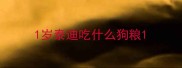 1岁泰迪吃什么狗粮