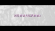 迷你泰迪和玩具泰迪