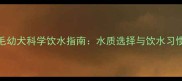 金毛幼犬科学饮水指南水质选择与饮水习惯全