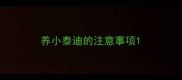 养小泰迪的注意事项