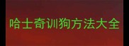 哈士奇训狗方法大全