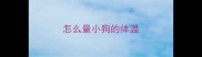怎么量小狗的体温