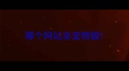 哪个网站卖宠物猫