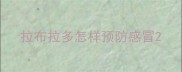 拉布拉多怎样预防感冒