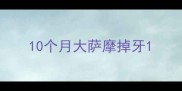 10个月大萨摩掉牙