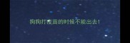 狗狗打疫苗的时候不能出去
