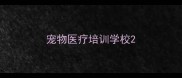 宠物医疗培训学校